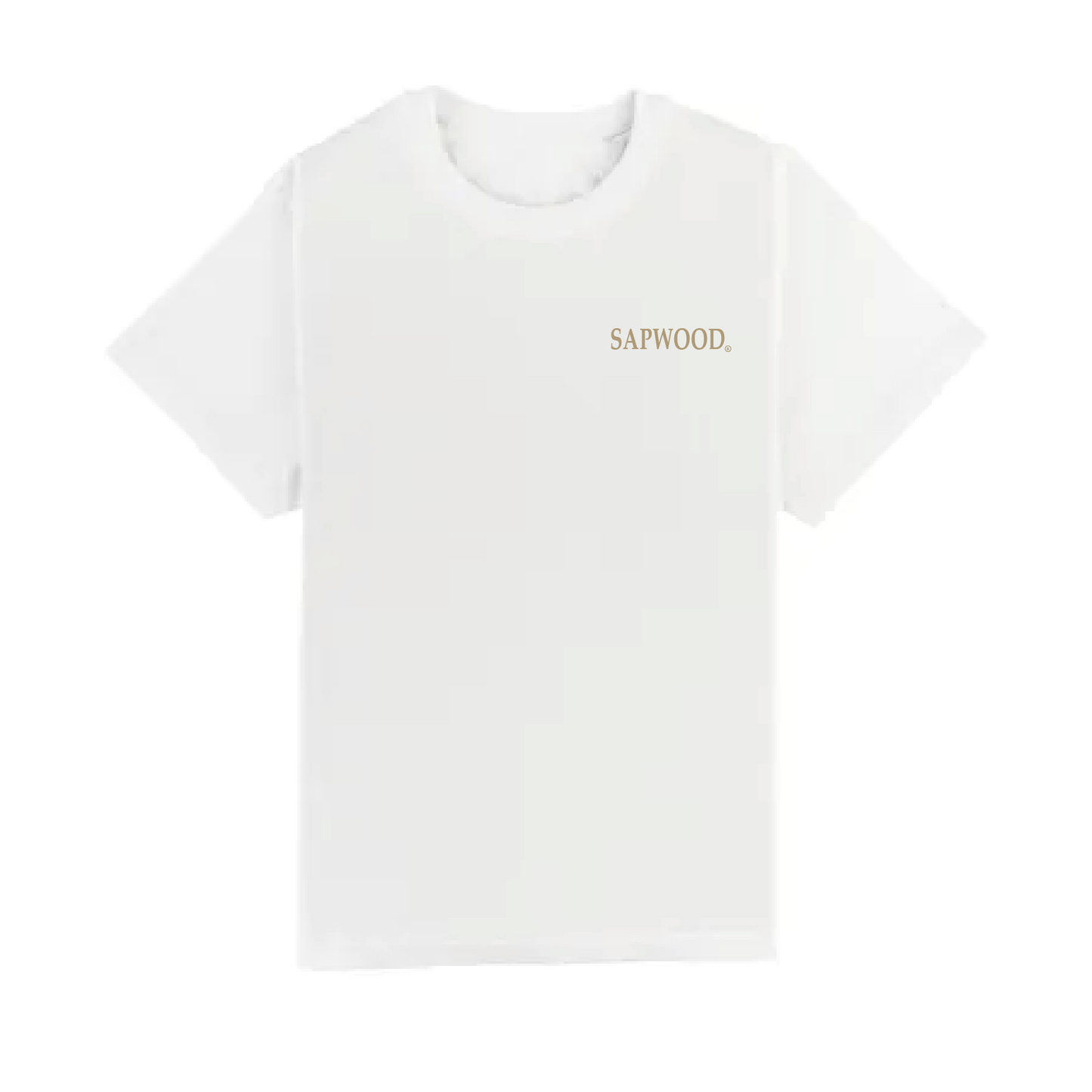 Camiseta Monte Perdido Oversize